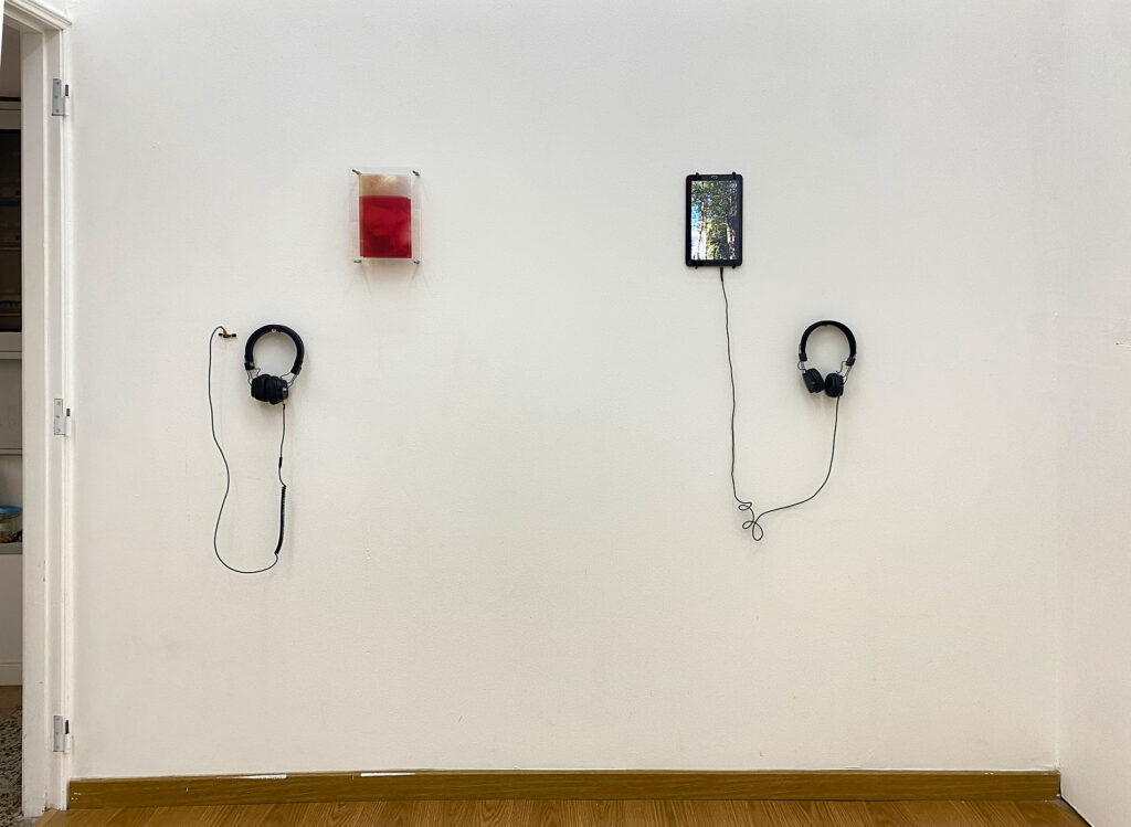 b12 8 - visão da exposição coletiva - _Um lance de dados não abolirá o desejo_ Curadoria Clara Sampaio_