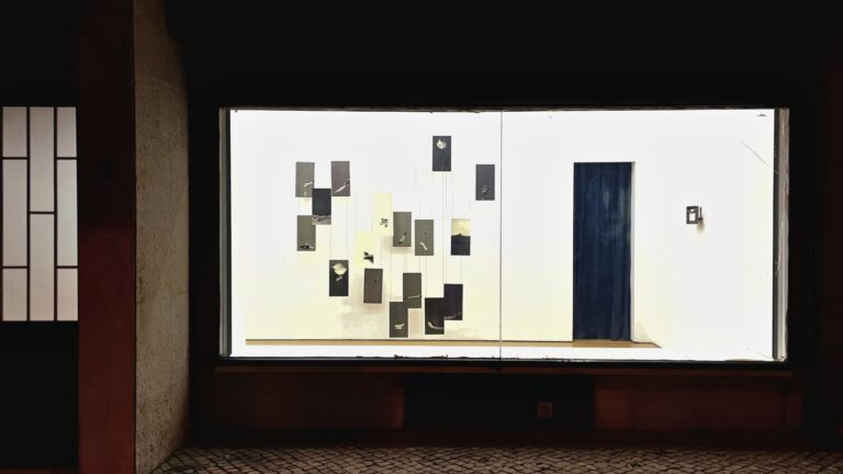 Idadismo: que bicho é esse?