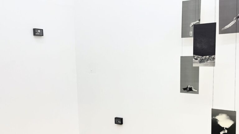 Idadismo: que bicho é esse?