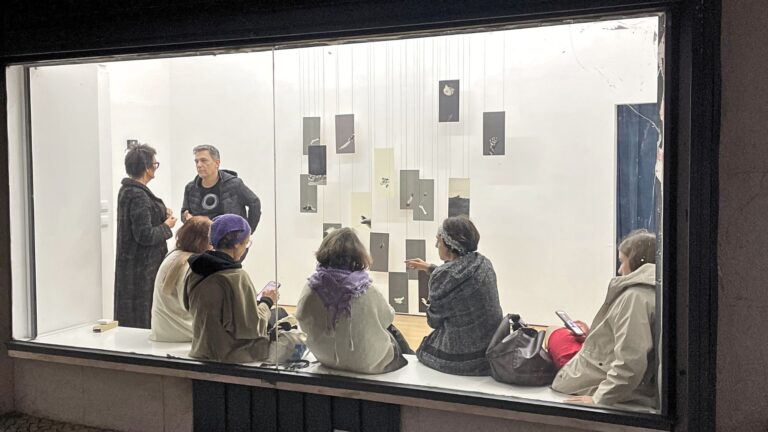 Idadismo: que bicho é esse?